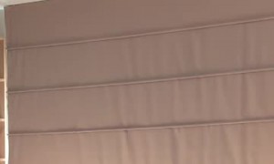 Clumsy Cat's Failed Jump