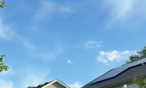 Somali Family Accosted by Neighbors