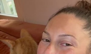 Cat Cuddles Up to Mom and Baby