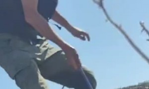 Rescuing a foal from a deep hole