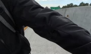 Biker Saves Kitten on Highway
