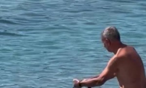 Dachshund Goes Surfing