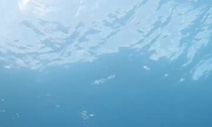 Mermaiding Around