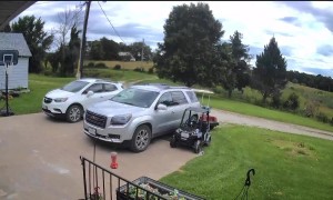 Toddler Commits Hit and Run on Electric Golf Cart