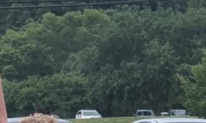 Library Parking Lot Freakout