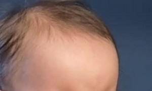 Toddler Taste Testing