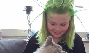 Cat Takes a Jab at Girl With Spikey Green Hair