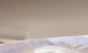 Enthusiastic Llama Dashes Towards Family