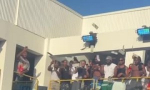 Fight Breaks Out at Nightclub Pool
