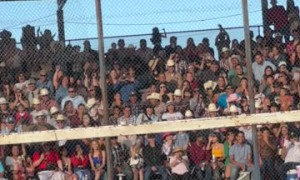 Rodeo Tug of War