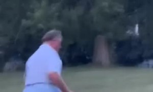 Run Big Boy, Run!