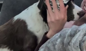 Phoebe the Screen Time Police
