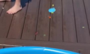 Water Balloon Fight with the Fam