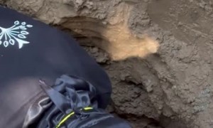 New Guy Unclogs a Drain Pipe