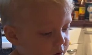 Little Boy Falls Asleep at the Table