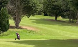 Runaway Golf Trolley