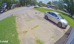 Mailbox Massacre