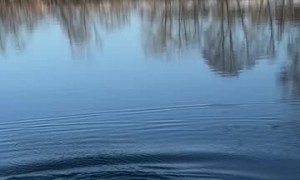Man Tests Ice and Falls In