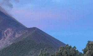 Watching a Volcano Erupt With My Dog