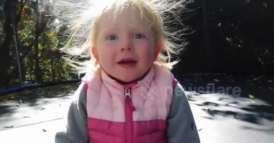 Toddler's hair becomes an adorable static mess after jumping on ...