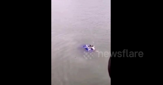 Good Samaritan rescues driver stuck in car sinking into a river - Sharedots
