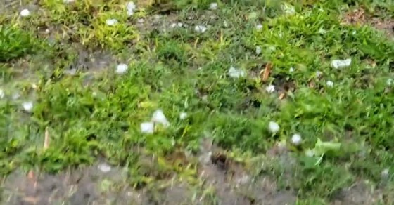 Storm Dumps Golf Ball Size Hail in Trinity Texas - Sharedots