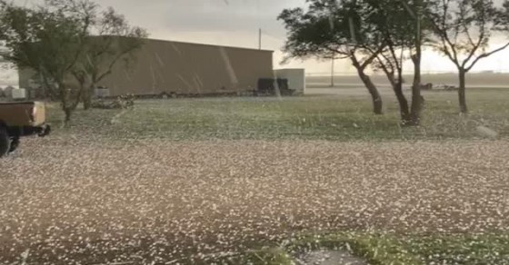 Golf Ball Sized Hail Rains Down in Texas - Sharedots