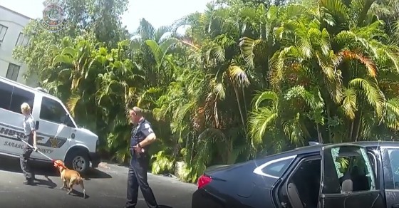 Florida police rescue puppy left in hot car - Sharedots
