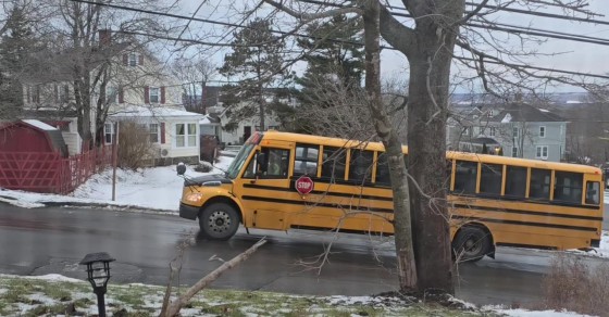 School Bus Is No Match for Icy Hill - Sharedots