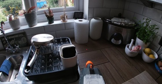 Bug-A-Salt Exterminates Two Flies in the Kitchen - Sharedots