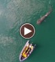 My Friend Took His Drone Out To Sea And Captured The Coolest Shark Video EVER!