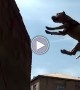 It\'s A Bird, It\'s A Plane... No It\'s Parkour Dog!!
