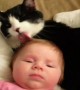 When I Saw This Amazingly Cute Video Of Babies With Their Furball Pets I Was Smiling Ear To Ear