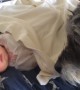 When I Saw What This Dog Did To This Baby I Couldn\'t Stop Smiling