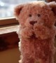 This Video Of An Adorable Teddy Waiting For It\'s New Friend Just Stole My Heart