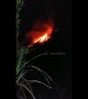 Footage shows incandescent eruption of lava from Indonesia volcano overnight