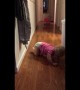 Tears before bedtime: toddler\'s attempt at fistbump fails spectacularly