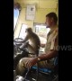 \'Friendly\' monkey helps bus driver steer in India