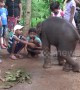 Baby elephant rescued from dangerous well plays with child villagers