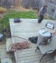 Lawn Chair Fall Fail