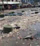 Truck spills thousands of fish sparking frantic scenes as locals try to collect them