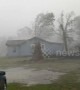 Large tree uprooted by 150mph winds as Florida as storm rages on
