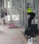 Funny Jurassic Park Imitation at Work