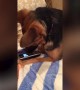 Dog is Confused by Phone – LOL