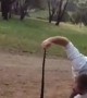 Lack of Snake Handling Skills