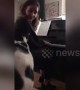 Just call her Feline Dion! Cat nails ‘My Heart Will Go On’ rendition