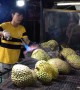 These tourists are eating durian flame-grilled with a blow torch