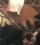 Homecoming Dance Floor Collapse Aftermath