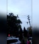 Chinese man filmed "tightrope walking" on high-voltage power lines