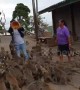 Tourist overwhelmed as dozens of hungry monkeys swarm around him